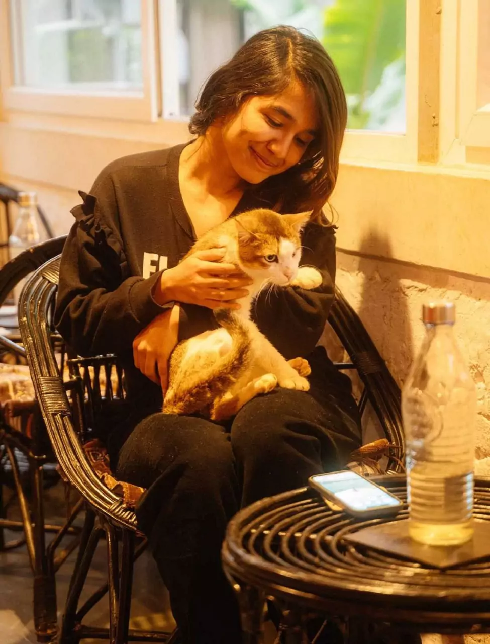 pet friendly accommodation